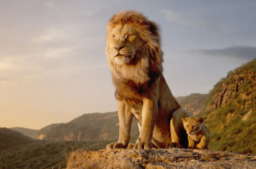 ChinoChinako.com: The Lion King 2019 Movie Review, Disney